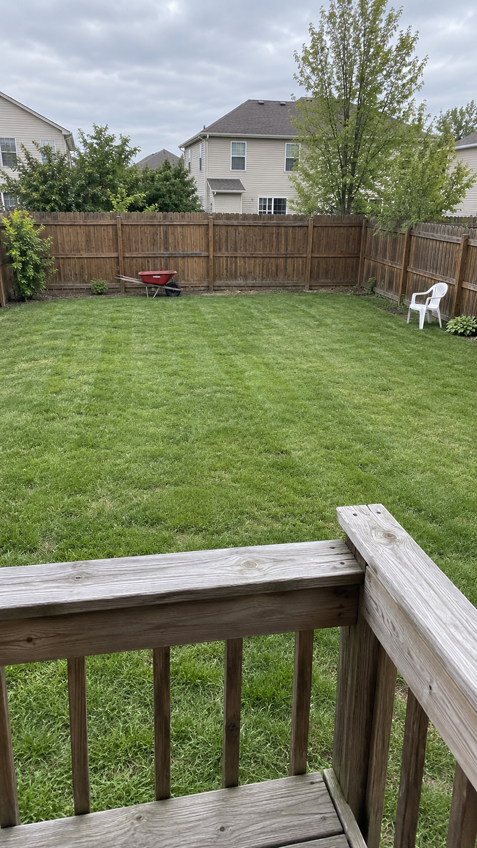 Garden pond prank, before